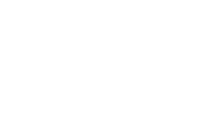 Steven Schmidt